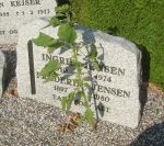 Ingrid Jensen.JPG